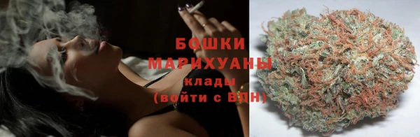 хмурый Семилуки