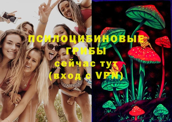 гашик Семёнов