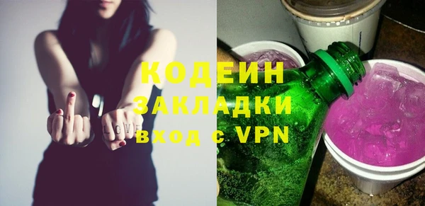 хмурый Семилуки